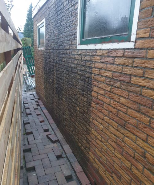IMG-20211019-WA0012